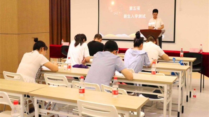 小标题：编程教育的兴起背景