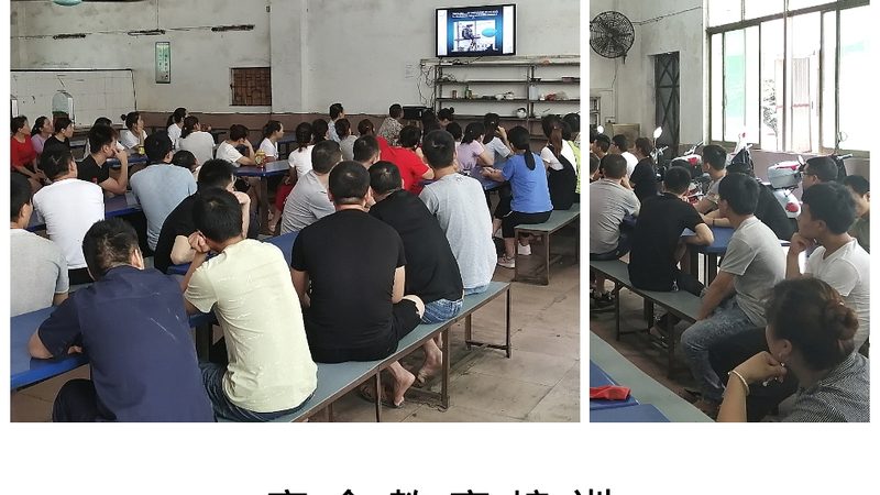 案例分析：以某机构网络课程教学设计为例